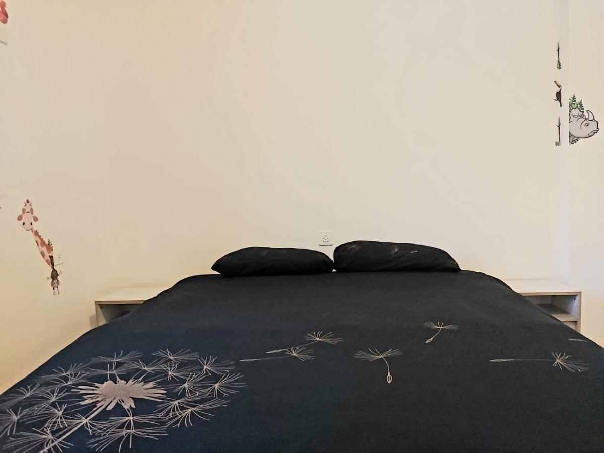 Turtle Guesthouse- Tyberiada Zewnętrze zdjęcie