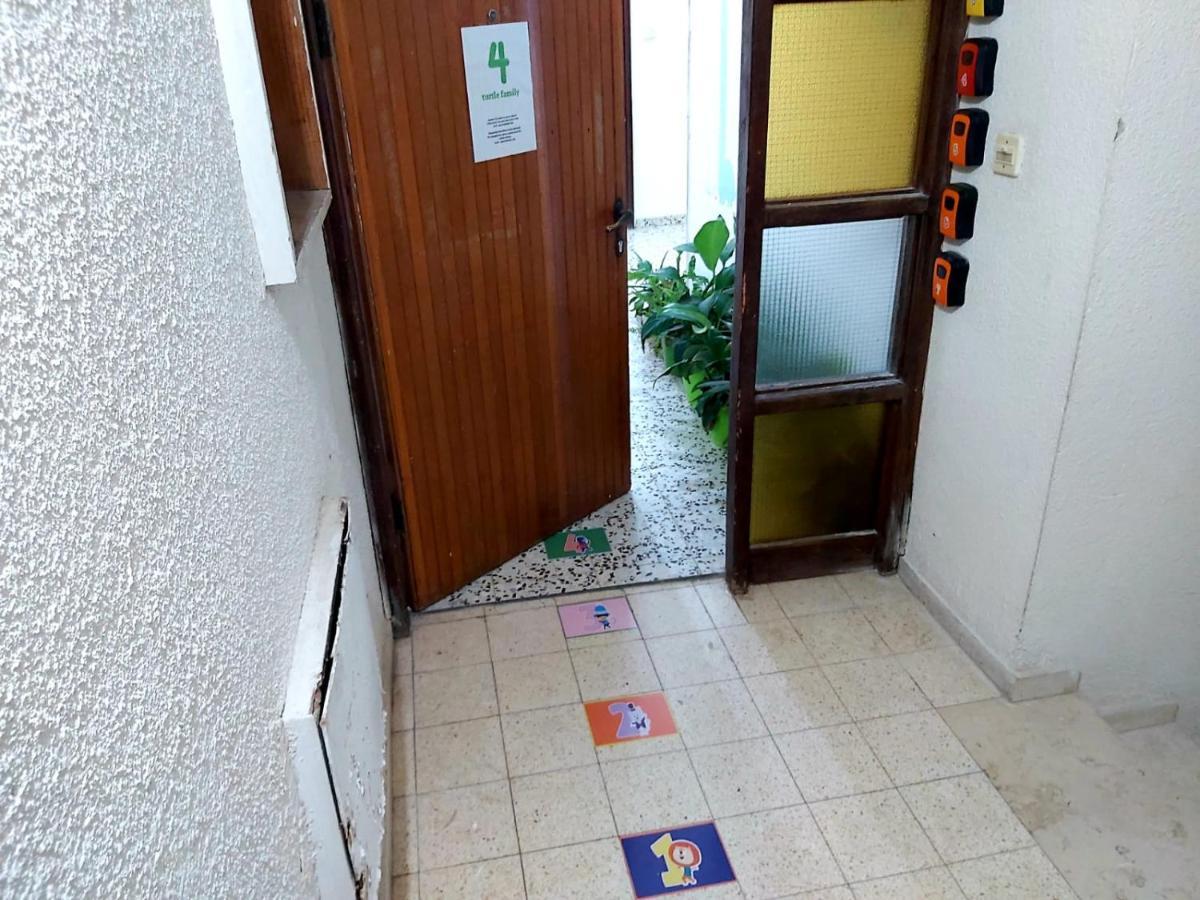 Turtle Guesthouse- Tyberiada Zewnętrze zdjęcie